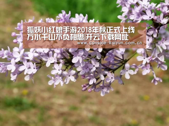 狐妖小红娘手游2018年秋正式上线 万水千山不负相思|开云下载网址(图1) 开云下载网址