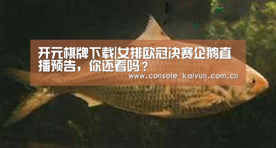 开元棋牌下载|女排欧冠决赛企鹅直播预告,你还看吗?(图1) 开元棋牌下载
